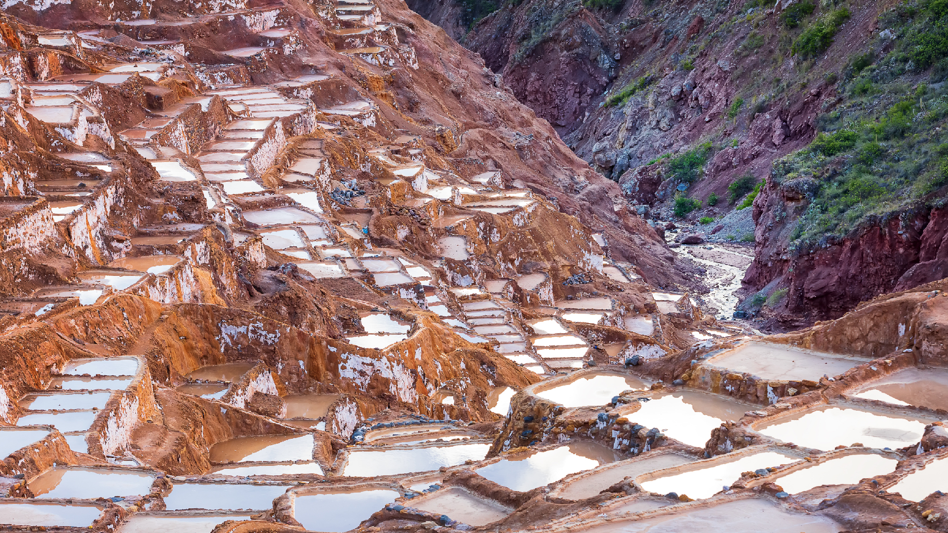 Maras Moray