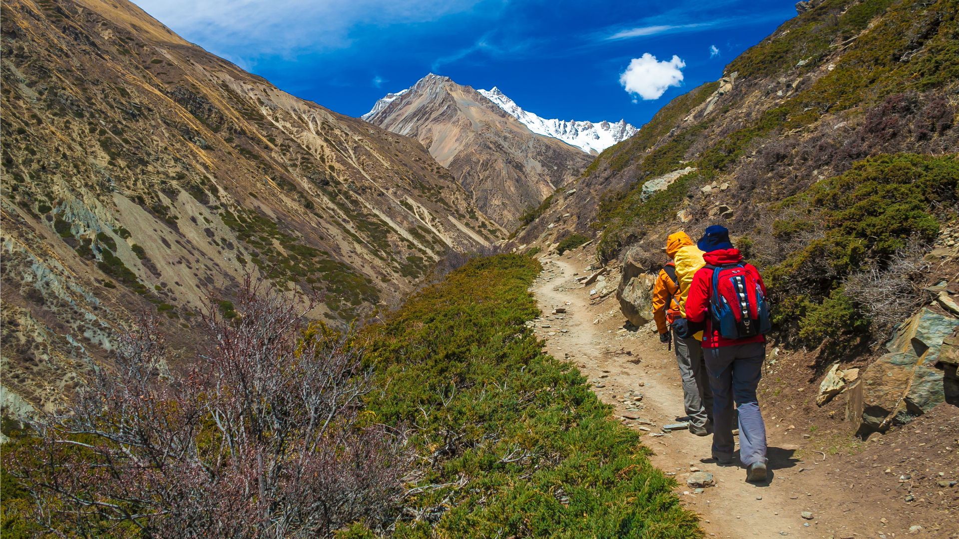 Camino Inca 2D/1N